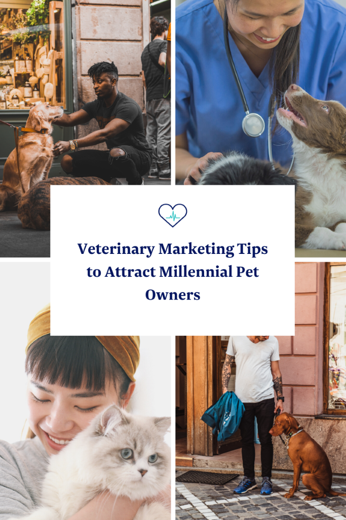 veterinary marketing toolkit